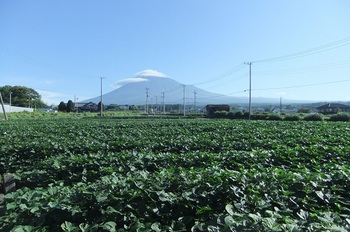DSCF4173富士山ｂ.jpg