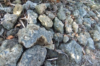 DSCF4187溶岩石.jpg