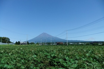DSCF4393富士山ｂ.jpg